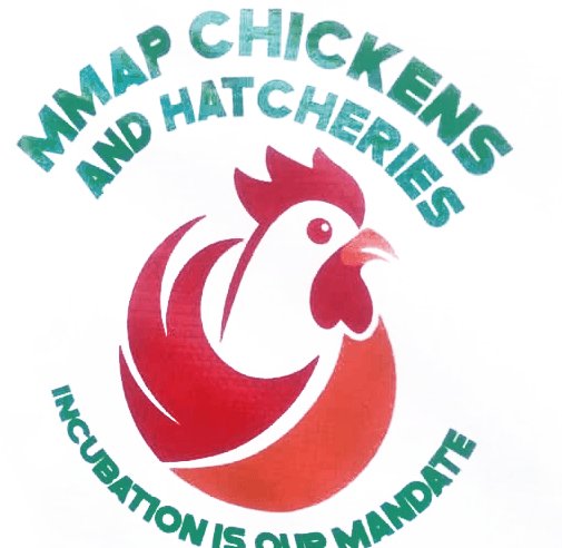 MMAP Chickens & Hatcheries
